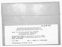 Image Associated With the Occurence